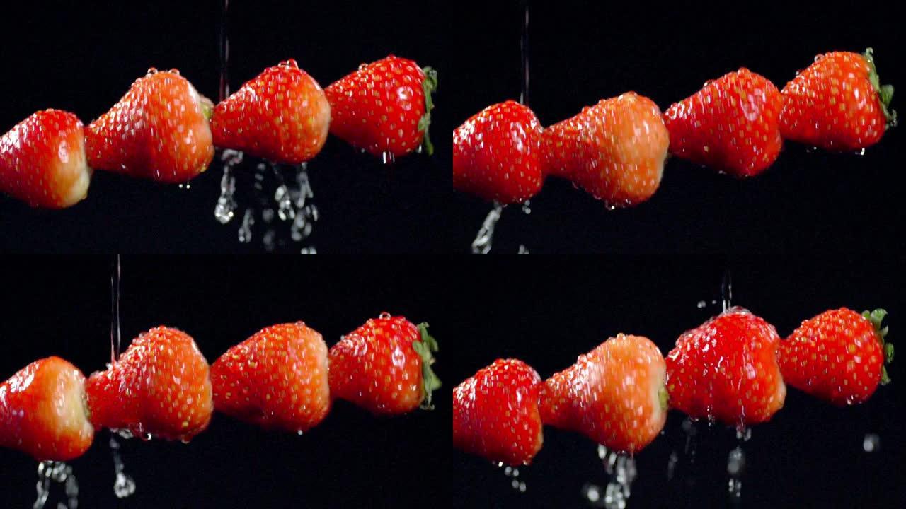 串串着鲜红色的新鲜当季成熟草莓，细纱有清澈的水流溅落在黑色背景上洗涤