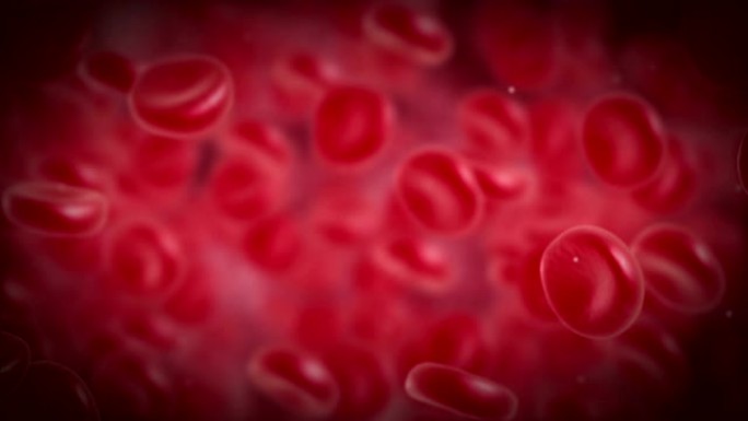 红细胞在静脉或动脉流动。
