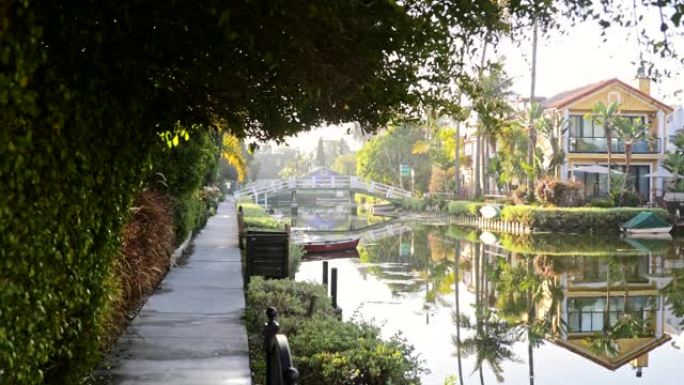 威尼斯运河大桥树枝河水