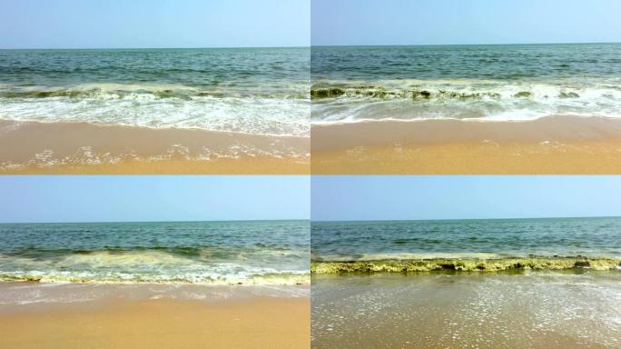 在空旷的海滩上，有毒的绿色水从海浪中涌出