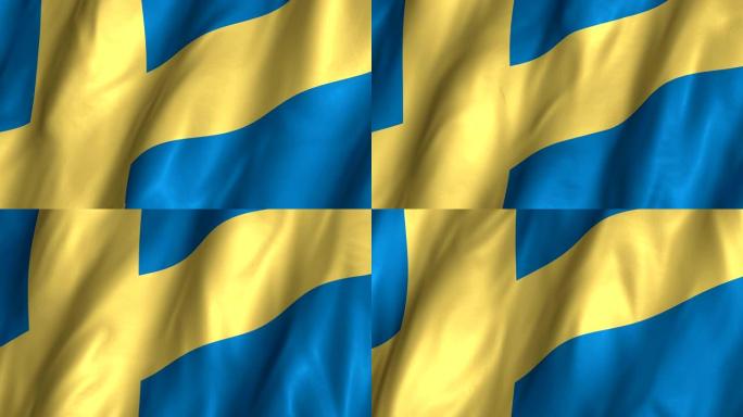 瑞典挥舞着4K国旗