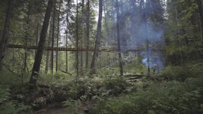 看到年轻人在木制吊桥附近用烟雾弹在森林中奔跑。库存镜头。旅游和旅游概念