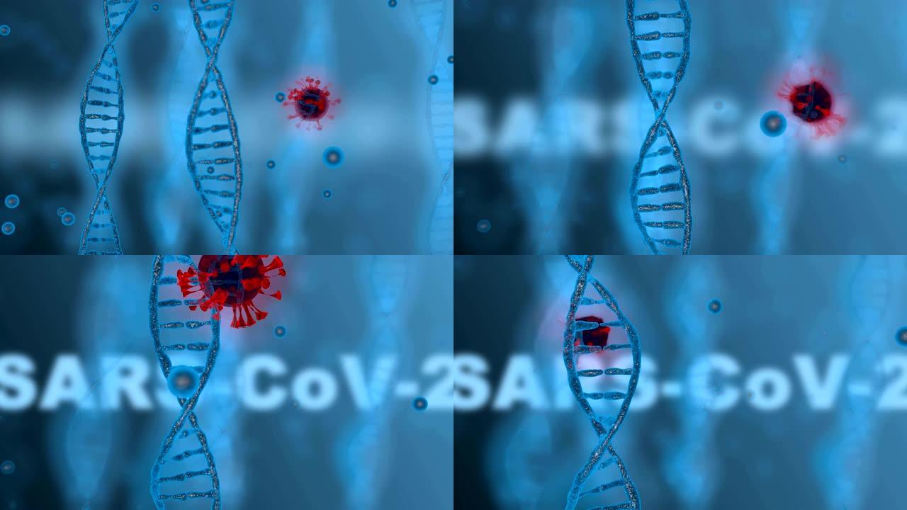 血液中被感染的病毒。冠状病毒概念。也称为2019-nCov。3D渲染