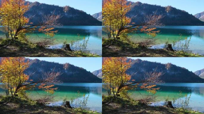 上奥地利州萨尔茨卡默古特的秋季高山奥芬湖