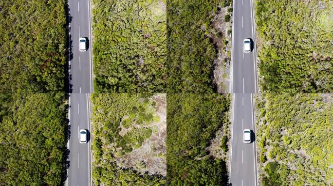 4k俯视图无人机航拍镜头，一辆白色经济型汽车在葡萄牙马德拉岛绿色森林中行驶的柏油路旁行驶。安全运输概