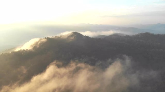 史诗空中飞行薄雾福雷斯特日落七彩秋树金色一小时日落彩色史诗荣耀灵感徒步旅行和旅游概念