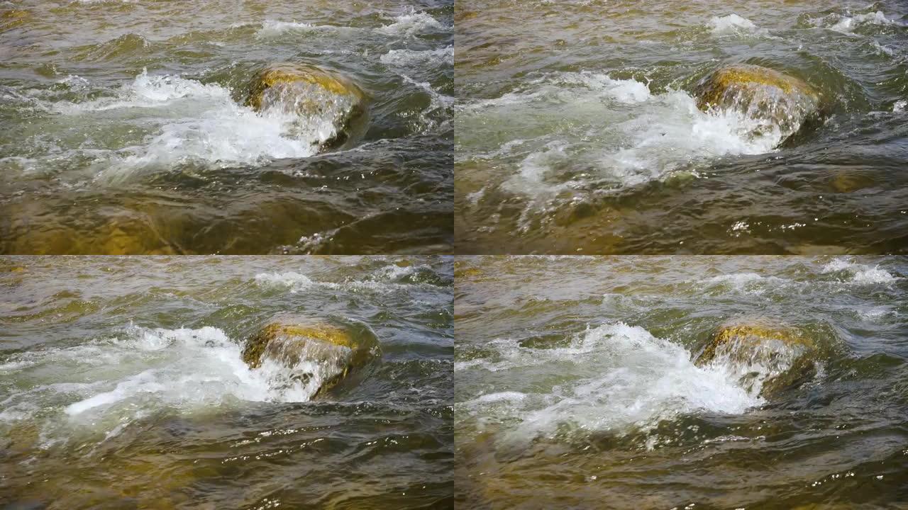 水在浅泉河中流过小石头，形成白浪，阳光照在小溪上