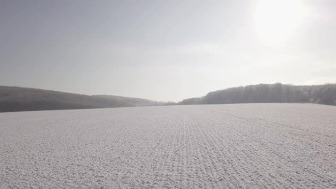 农业工业。雪下的冬麦田。无人机在冬麦田上空飞行。