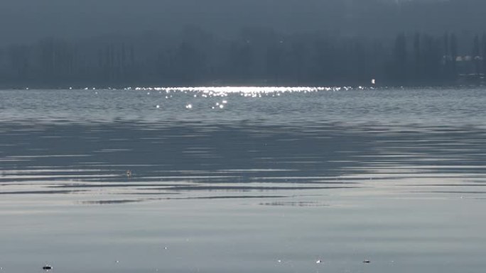 水面上的阳光刺眼散焦、禅宗状、花卉花环、