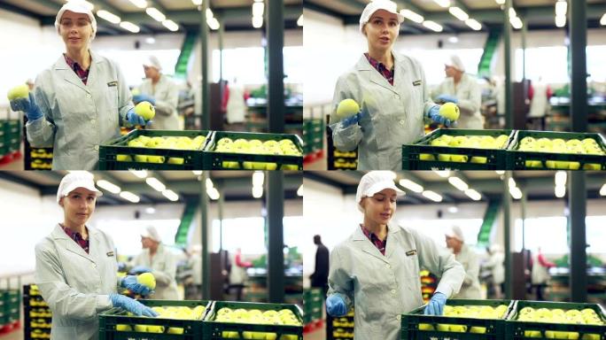 站在水果分拣厂的新鲜成熟苹果盒附近的女工