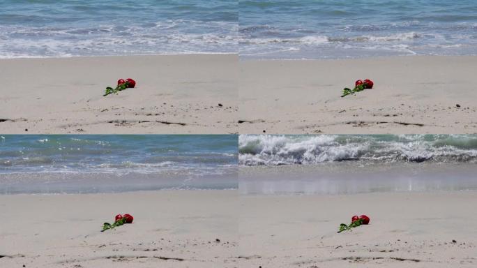 沙滩上的玫瑰，海浪冲撞