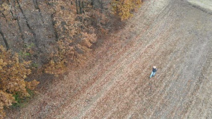 秋天，成年农民戴着牛仔帽走在他的森林旁边。鸟瞰图。