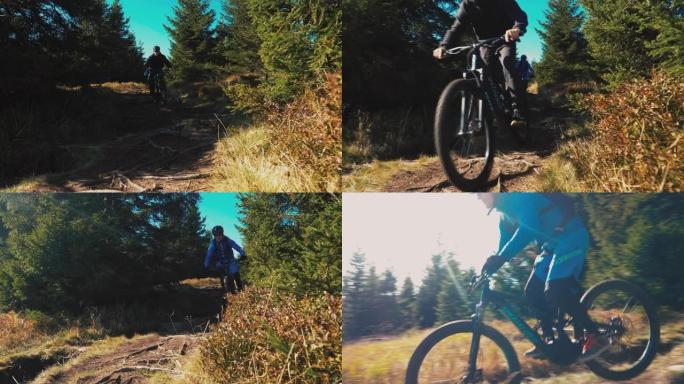 MTB骑自行车的人在阳光明媚的日子里，沿着极端的小路下山，扎根在森林里。