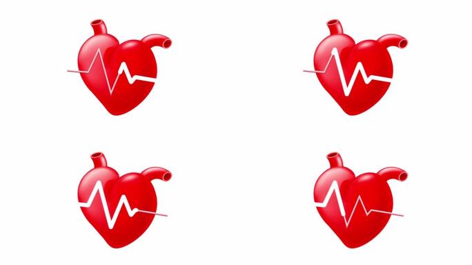 红心与心跳图。医疗保健概念。动画。