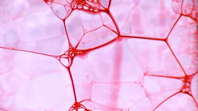 彩色肥皂泡沫与爆裂气泡背景。摘要生物结构，大分子模式。红色墨水填充了大量在液体中形成的粉红色大气泡。