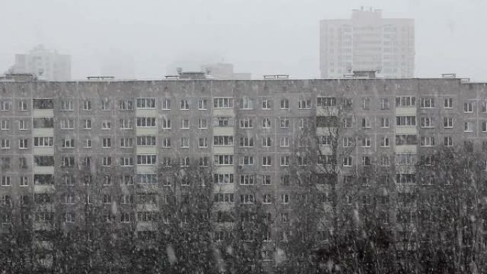 多层房屋，树木和树枝上的鸟类背景下的城市降雪