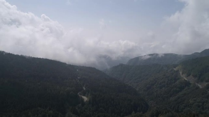 阿里山小樽原山观景台