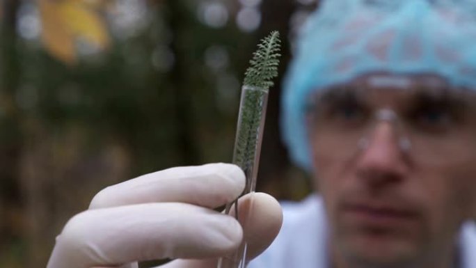 在森林中，生态学家采集植物样本并将其放入试管中