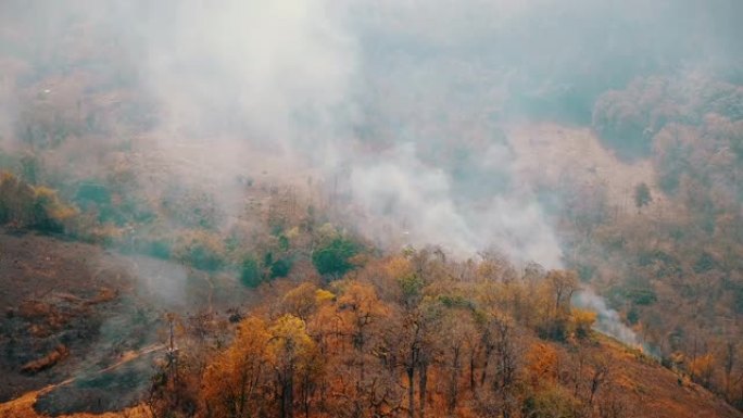 森林大火的烟雾。森林砍伐和气候危机。泰国雨林大火的有毒雾霾，马鸿山。航空视频4k