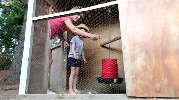 母亲帮助女儿喂鸡养殖场养殖户养鸡