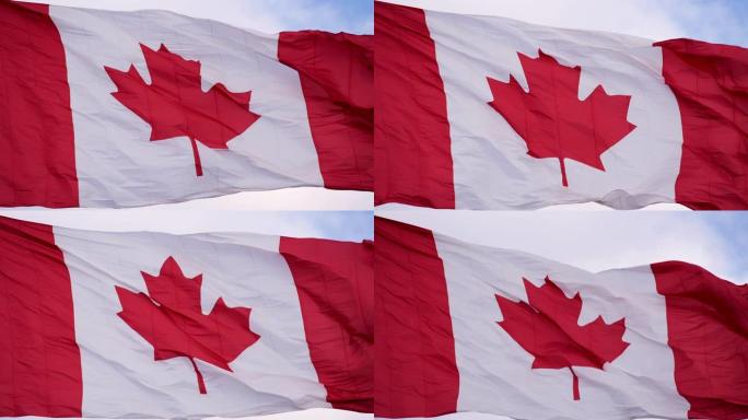 加拿大的国旗在风中飘扬