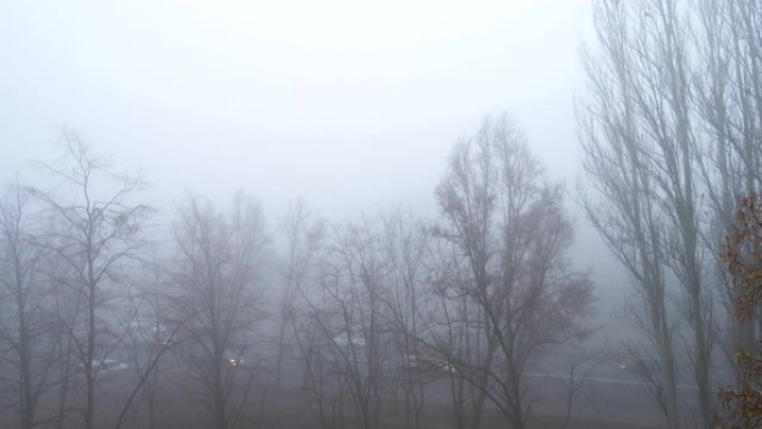 在雾蒙蒙的秋日，许多大灯开着的汽车在薄雾笼罩的道路上行驶