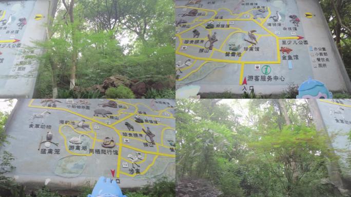杭州动物园大门口树林和介绍牌