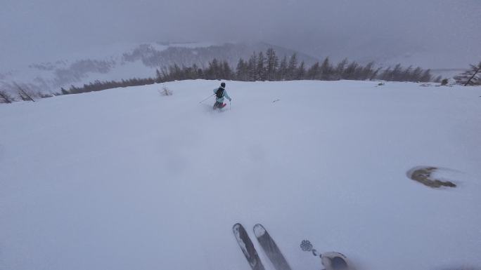 野雪小树林双板滑雪跟拍4K