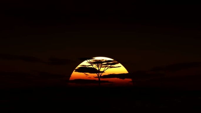 非洲的大太阳日出一天大太阳日出