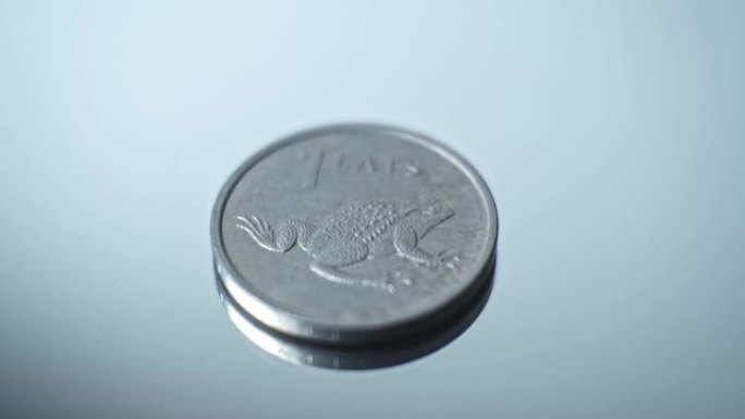 1 lats 2010-拉脱维亚共和国Toad特写硬币