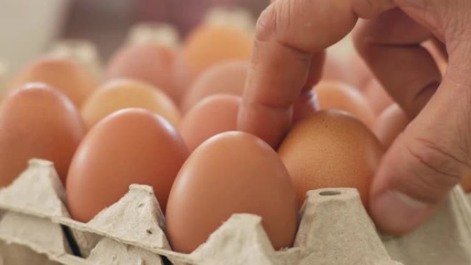 手从鸡蛋托盘中采摘鸡蛋。