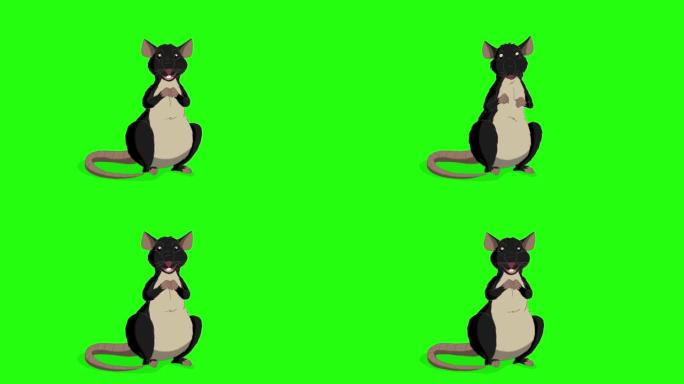黑鼠坐着笑动画色度键