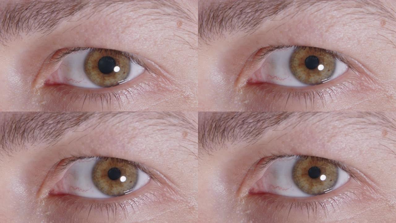人类虹膜眼的极端宏观特写。逐渐减少的男人的瞳孔。有黄色和棕色的色素沉着。4k慢动作