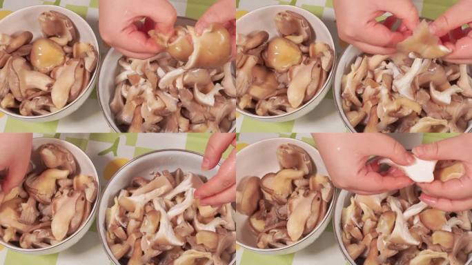 择蘑菇洗蘑菇秀珍菇焯水平菇焯水 (3)