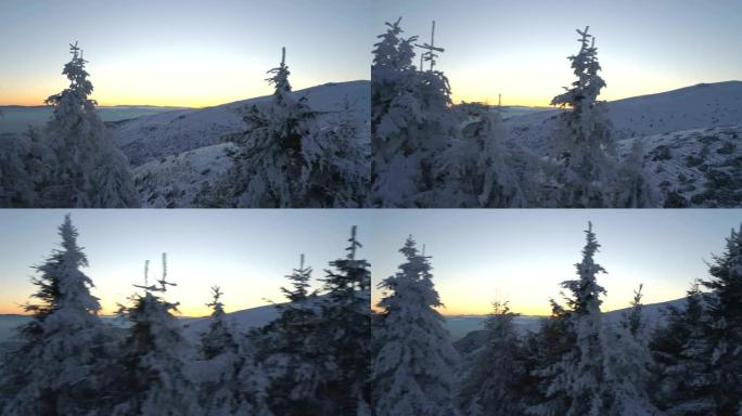 透过冬季山区冰冻的树顶看到的日落