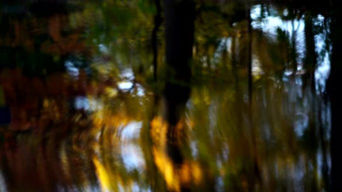 秋天的风景。五颜六色的树木在池塘上反射。