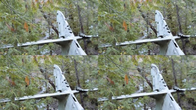 森林中坠毁飞机的尾翼
