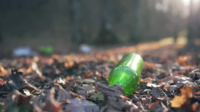 秋天森林中的塑料瓶特写。污染的土地和生态