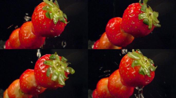 特写广角镜头聚焦在草莓茎上，串起鲜红色的新鲜当季成熟草莓，细纱清澈的水流溅落在黑色背景上洗涤