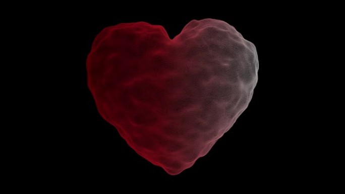 心脏颗粒，爆炸的心脏。爱的象征，情人节的概念，