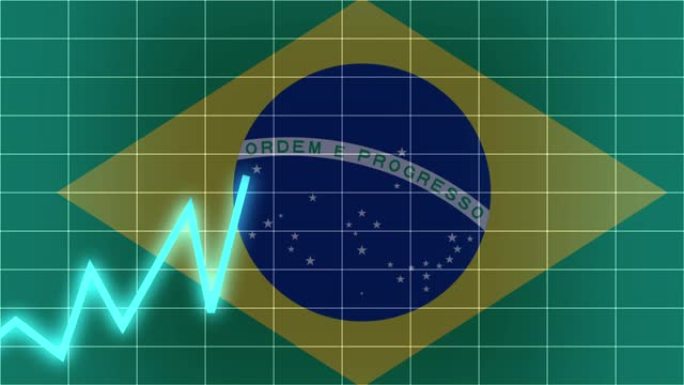 巴西股市因冠状病毒下跌，经济问题
