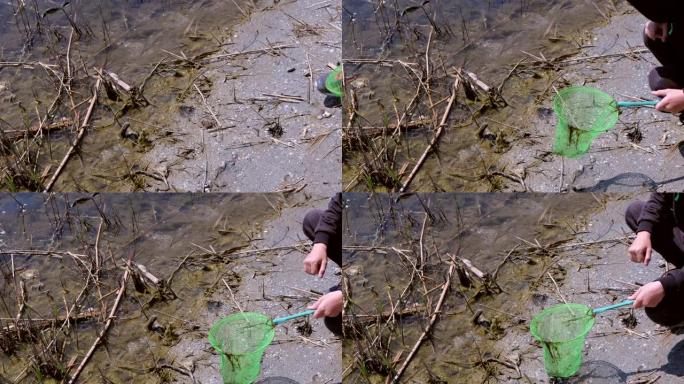 男孩正在用蝴蝶网，特写手在河上给青蛙打。