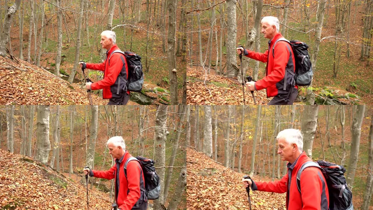 老人去山上的森林徒步旅行