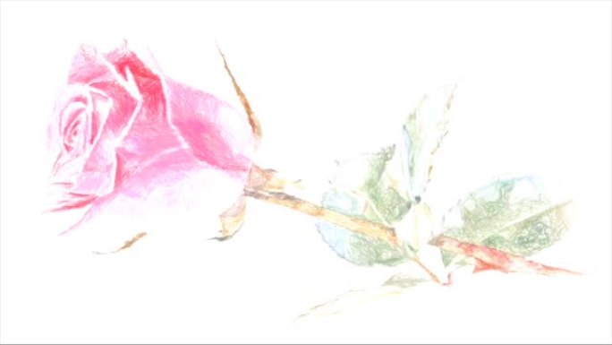 抽象背景，单粉色玫瑰，铅笔彩色绘画风格