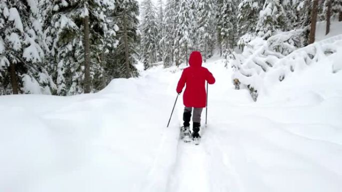 在高山冬季森林中，单身女子雪鞋行走