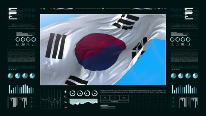 韩国信息分析报告和财务数据