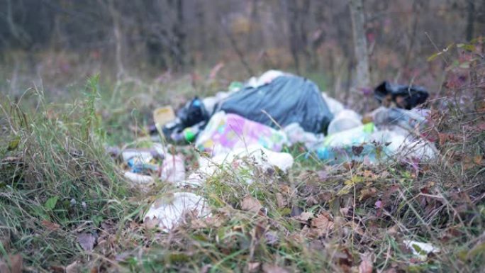 秋天森林里的垃圾场。生态灾难，人的不负责任和疏忽。塑料和袋子特写