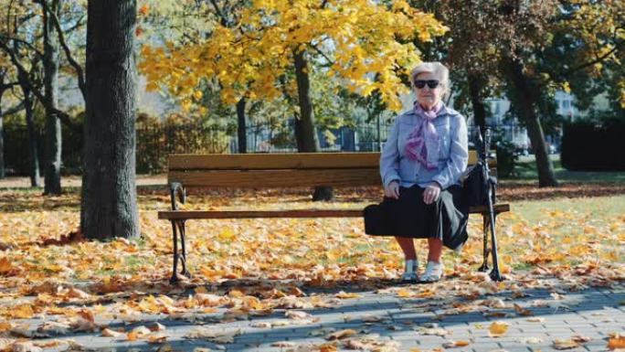 祖母坐在美丽的秋天公园的长凳上