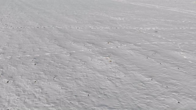 雪地上有未知痕迹的雪域的空中俯视图。冬季行走背景开口框架4k
