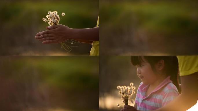 日落时分，年轻少女的手在草地上玩耍。十几岁的女孩玩得开心，纺草花。双手握着姿势在夏季自然户外生活方式